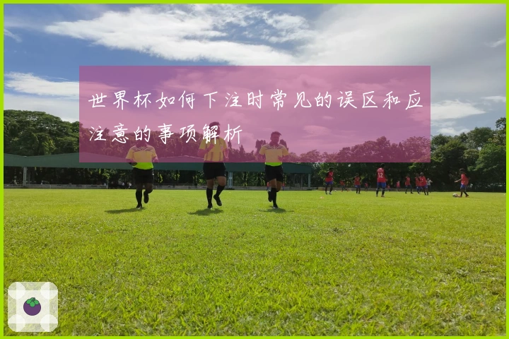世界杯如何下注时常见的误区和应注意的事项解析