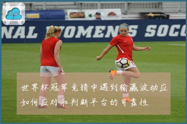 世界杯冠军竞猜中遇到输赢波动应如何应对和判断平台的可靠性