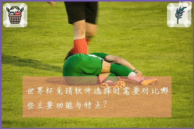 世界杯竞猜软件选择时需要对比哪些主要功能与特点？