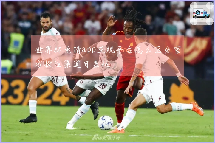 世界杯竞猜app正规平台怎么区分官方投注渠道可靠性