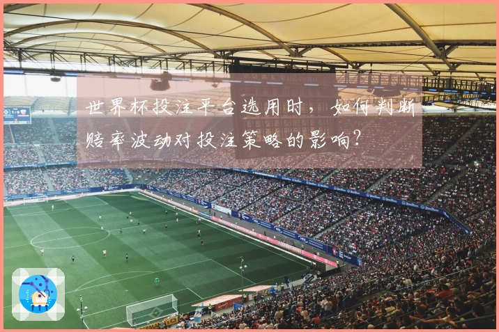 世界杯投注平台选用时，如何判断赔率波动对投注策略的影响？