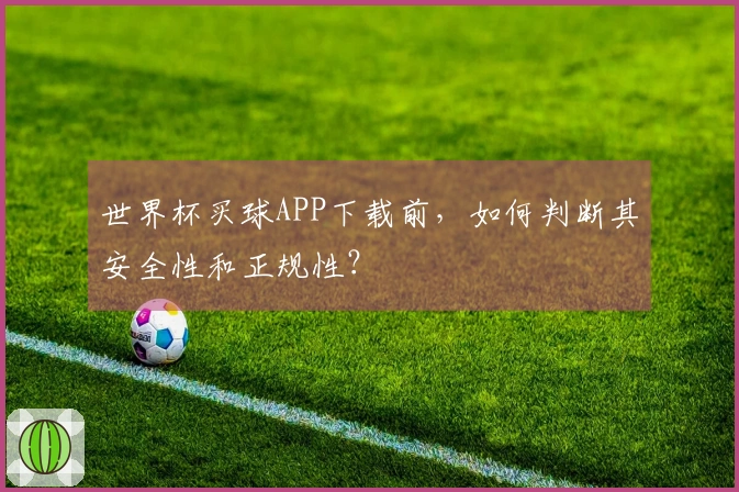 世界杯买球APP下载前，如何判断其安全性和正规性？