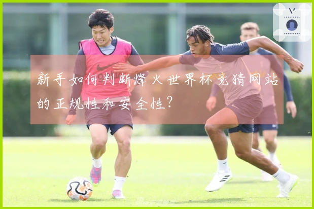 新手如何判断烽火世界杯竞猜网站的正规性和安全性？